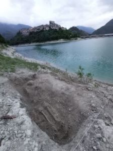 Particolare dello scheletro