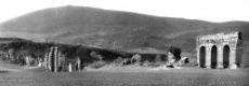 Fig. 2. Arcate e piloni dell’Anio novus (lato Est). Foto Thomas Ashby