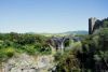 Ponte di Vulci-giugno 2020